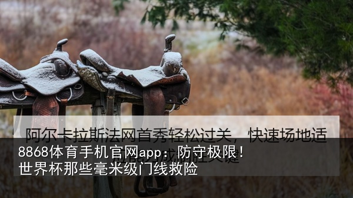 8868体育手机官网app：防守极限！世界杯那些毫米级门线救险