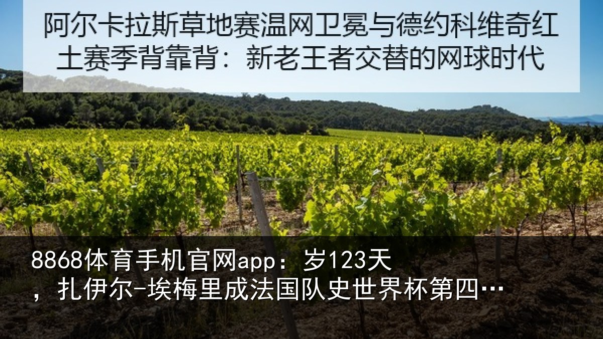 8868体育手机官网app：岁天相关情况国队相关情况出场球员
