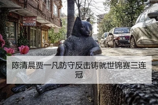 陈清晨贾一凡防守反击铸就世锦赛三连冠